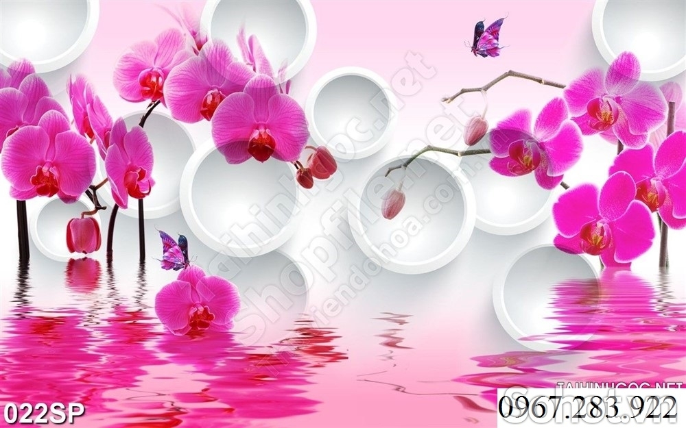 Gạch ốp tường 3D hoa lan