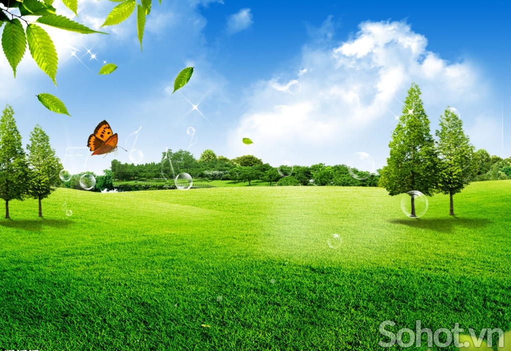 Tranh 3d - tranh gạch 3d phong thảnh thiên nhiên - SKN12