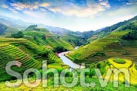 Tranh gạch 3d ruộng bậc thang - XVCC65