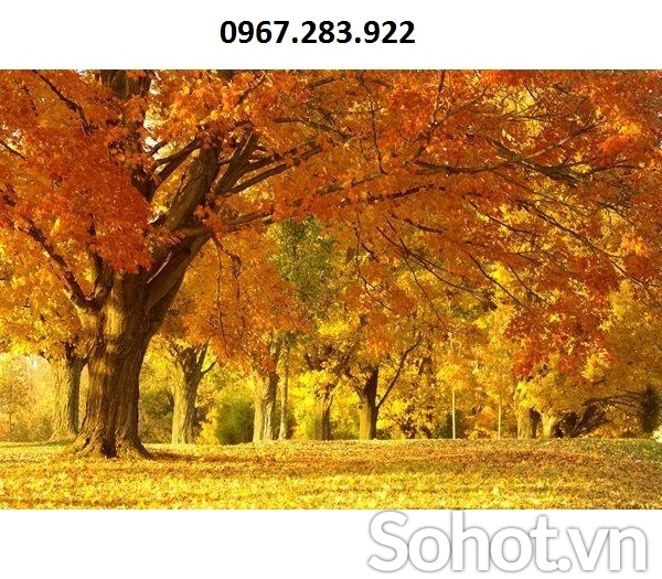 Tranh gạch phong cảnh mùa thu 3D trang trí