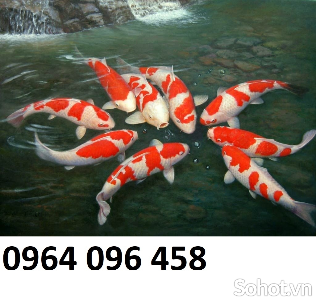 Tranh gạch 3d ốp tường cá koi - MX4312