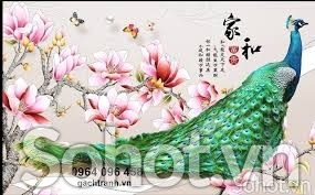 Gạch tranh 3d phòng khách - phòng ngủ - 2211AP