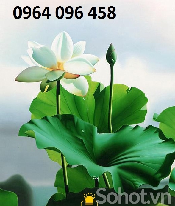 Tranh gạch 3d ốp tường hoa sen - 733CC