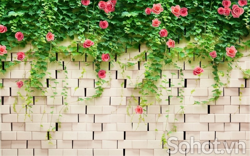 Tranh gạch men hoa hồng leo HP823