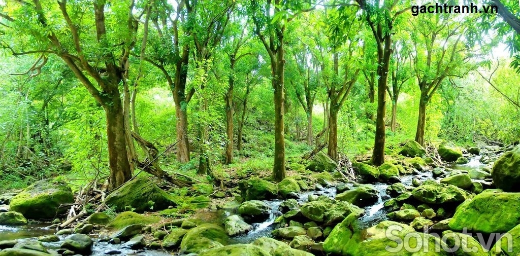 Tranh gạch 3d phong thủy mệnh hỏa - GFD43