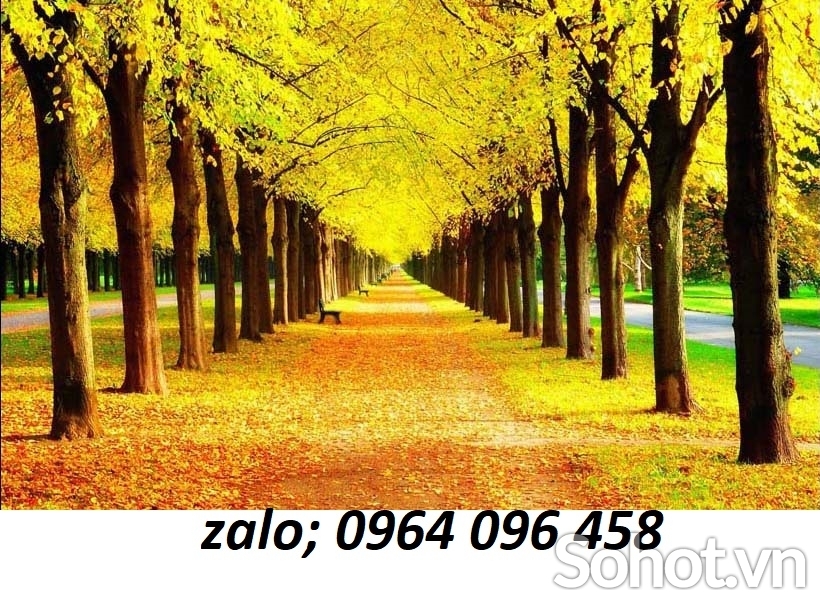 Tranh gạch 3d cây lá vàng - FSXX2