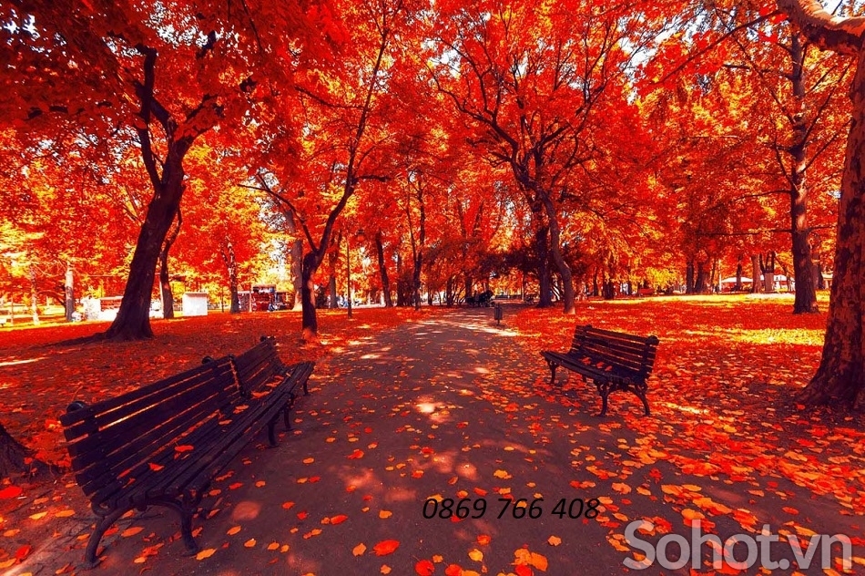 Tranh phong cảnh lá đỏ-gạch tranh 3D mùa thu