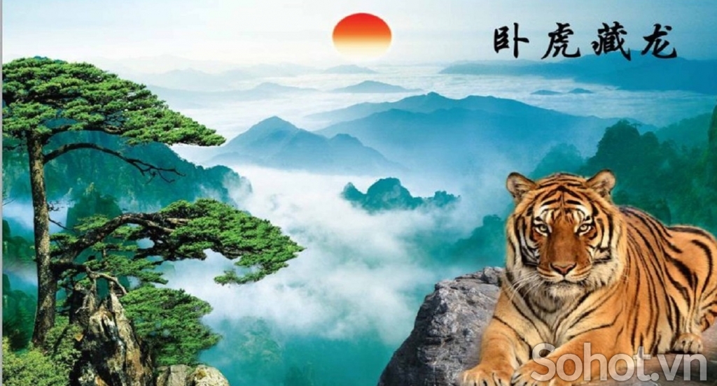Tranh gạch 3d con hổ phong thủy - SHN89
