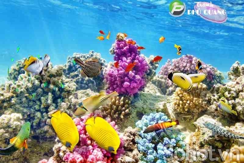 Tranh gạch 3d cá heo đại dương - 043XC
