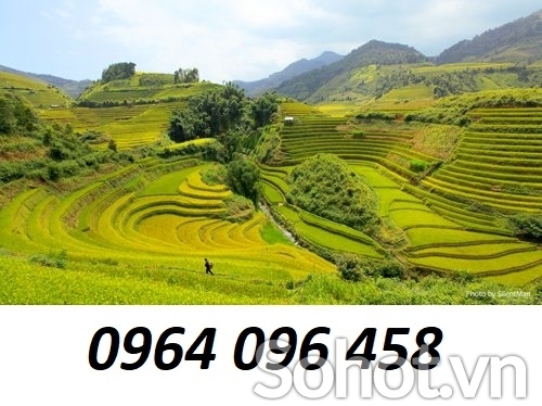 Tranh gạch 3d ruộng bậc thang - SXV887