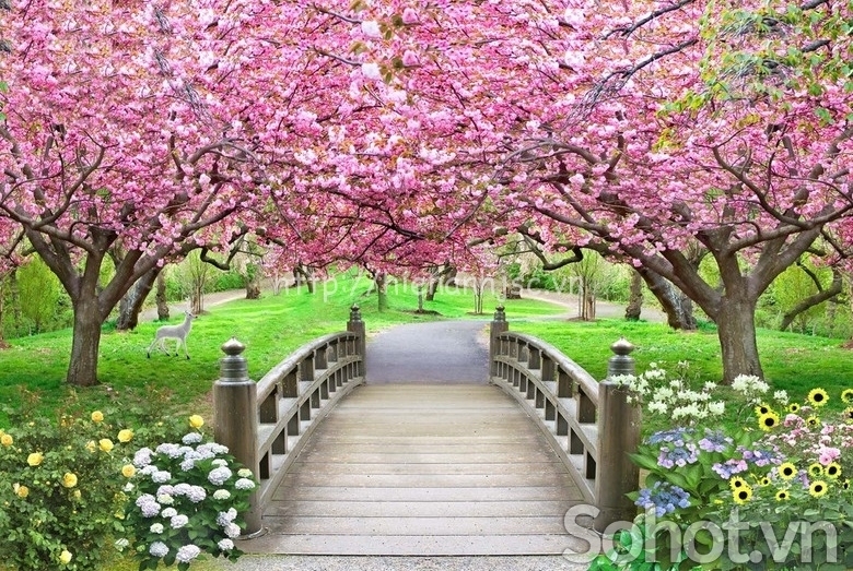 Tranh gạch 3d trang trí phòng khách - CCX22