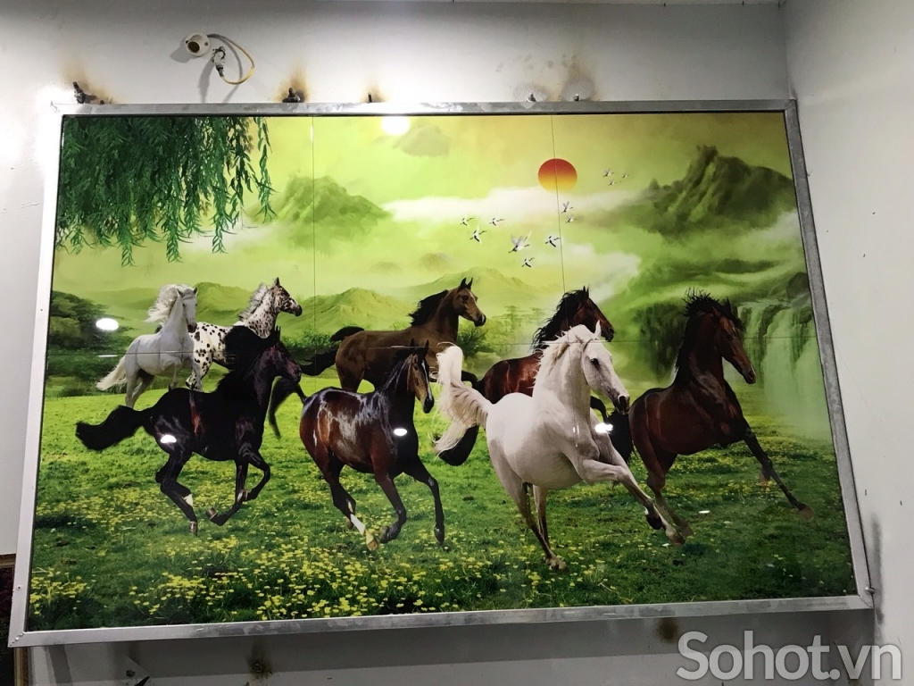 Gạch tranh họa tiết phong cảnh thiên nhiên