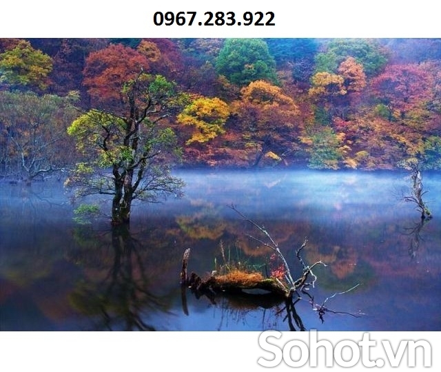 Tranh trang trí phong cảnh rừng mùa thu