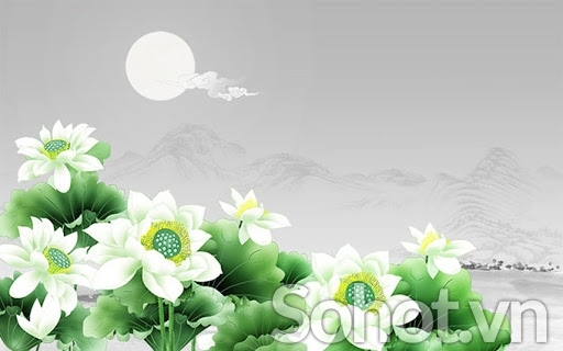 Tranh gạch men 3d hoa sen - 8422XC