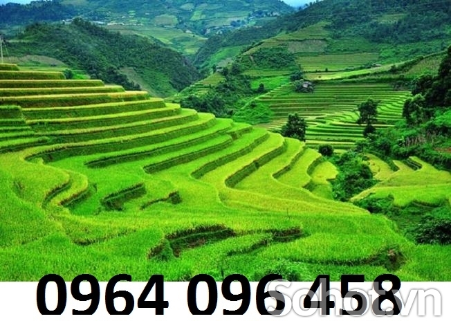 Tranh gạch 3d ruộng bậc thang - NBBN76
