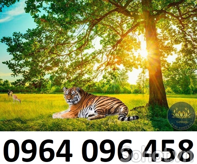 Tranh gạch 3d con hổ - 6422BX