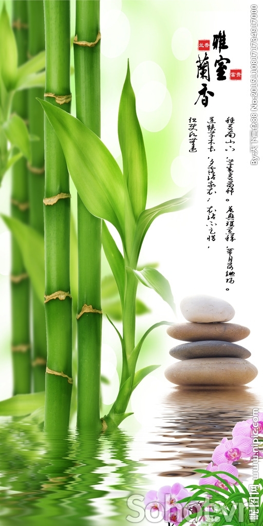 Tranh gạch 3d trang trí tường nhà - DCC33