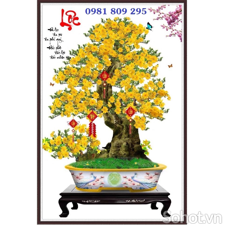 Mẫu gạch trang trí hoa mai 3d