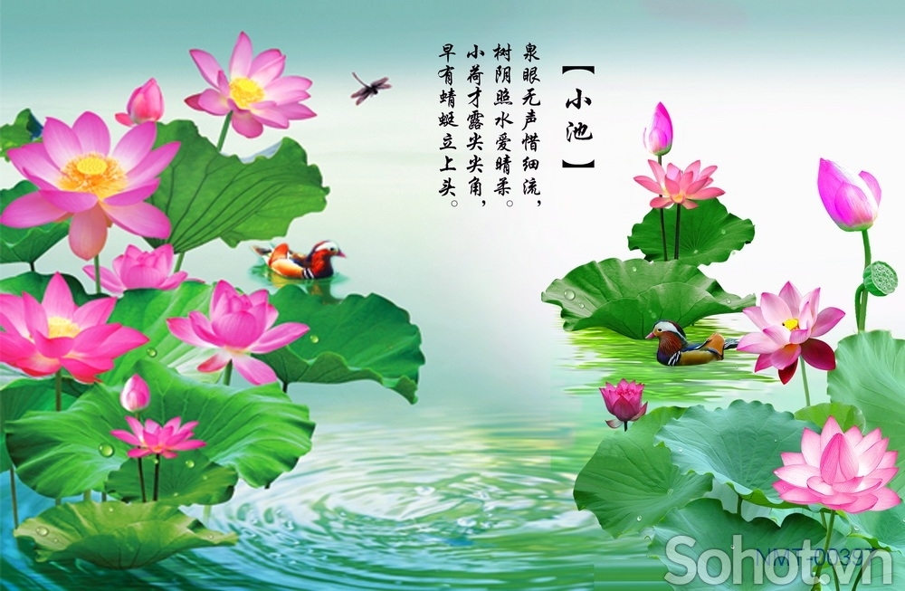 tranh gạch ốp tường 3d mẫu hoa sen - SMV33