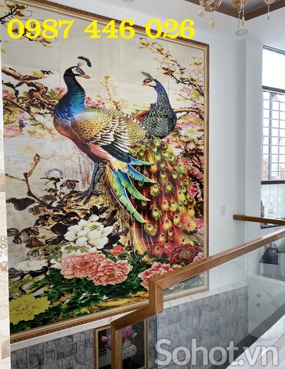 Gạch tranh 3d chim công ảnh thực tế