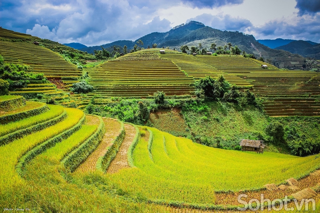 tranh 3d - tranh gạch 3d mệnh kim - AVV5