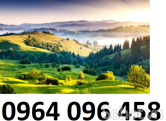 Tranh 3d - tranh gạch 3d - gạch tranh 3d - XBV94