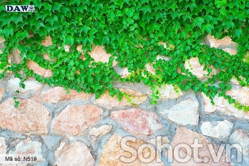 tranh gạch 3d - tranh hoa hồng - NC23