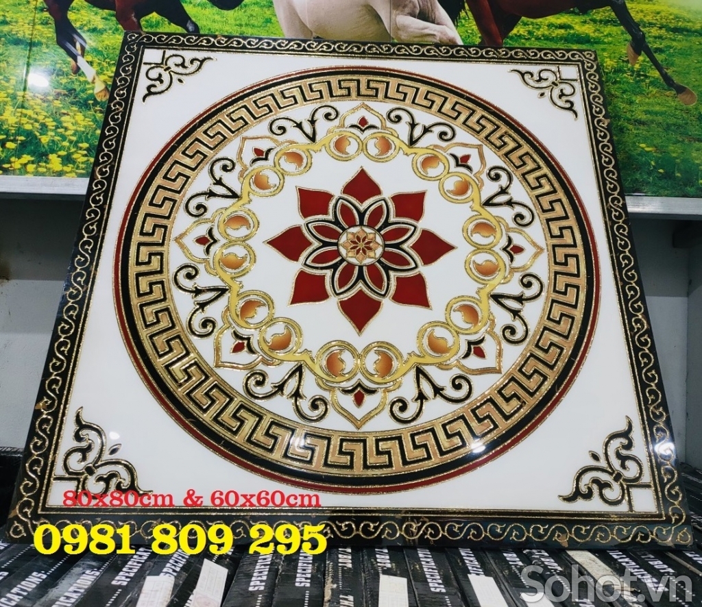 Thảm gạch lát nền cầu thang HG8676