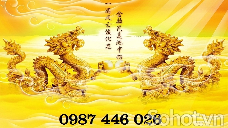 Tranh gạch men rồng vàng HP8272