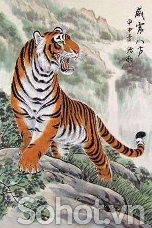 Tranh gạch 3d con hổ - gạch tranh 3d con hổ - MNN97