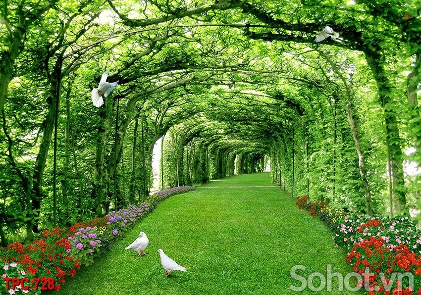 Tranh gạch 3d phong cảnh thiên nhiên - FDC555