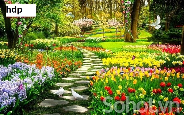tranh gạch 3d hoa cỏ phong cảnh thiên nhiên - 23DM