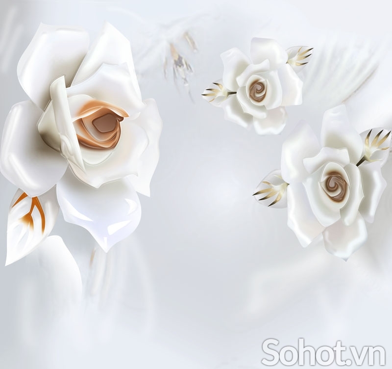 Tranh 3d hoa hồng, NỮ HOÀNG của các loài hoa