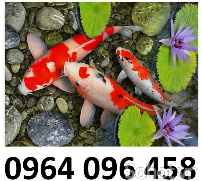 Tranh gạch 3d cá koi - GVVV4