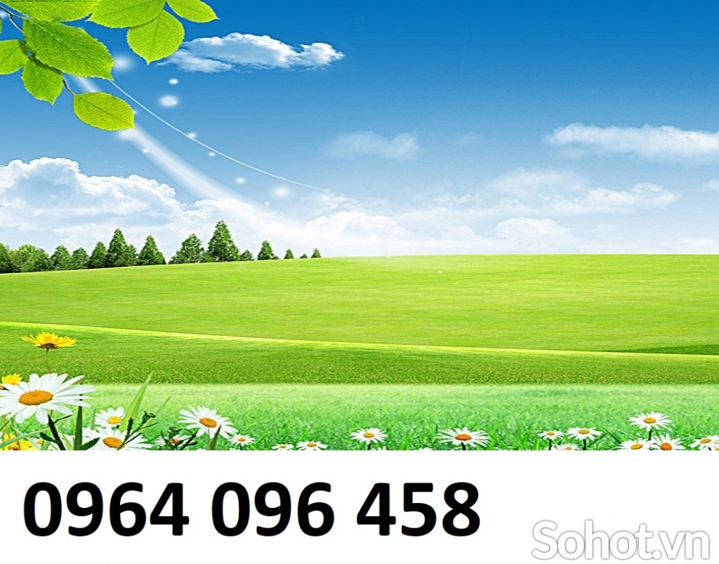 Tranh 3d - tranh gạch 3d - gạch tranh 3d - XBV94