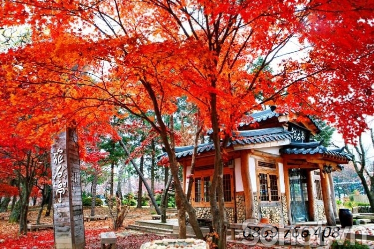 Tranh 3D lá đỏ-gạch tranh mùa thu