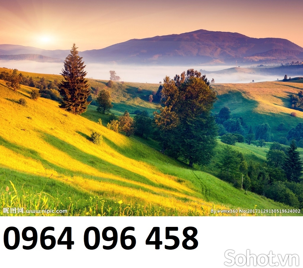 Tranh 3d - tranh gạch 3d - gạch tranh 3d - XBV94