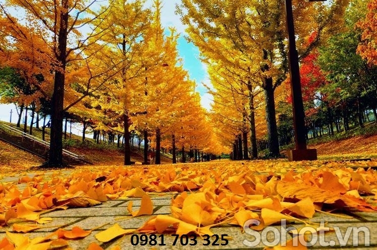 Tranh gạch phong cảnh mua thu