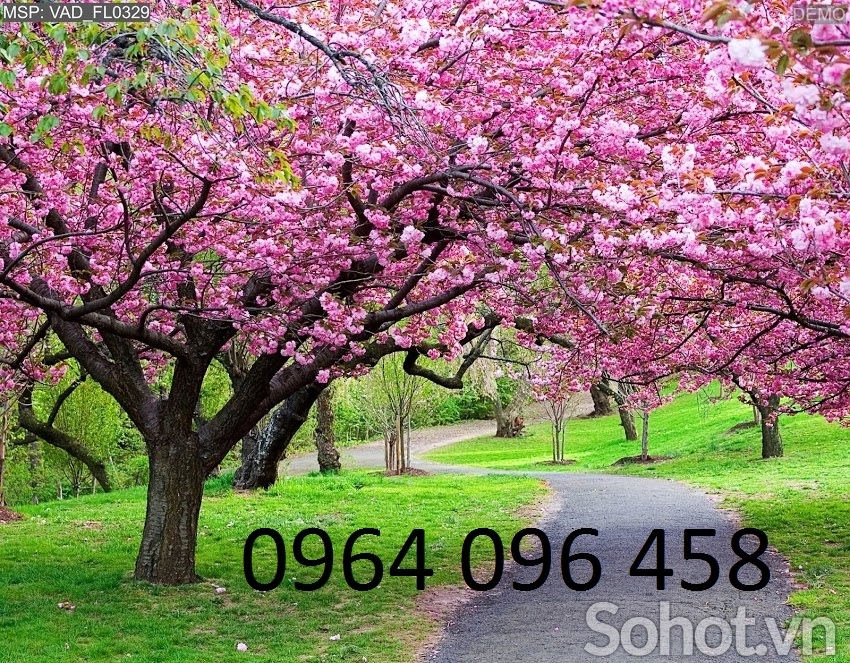 Tranh hoa đào 3d - tranh gạch 3d hoa đào - GFDX2