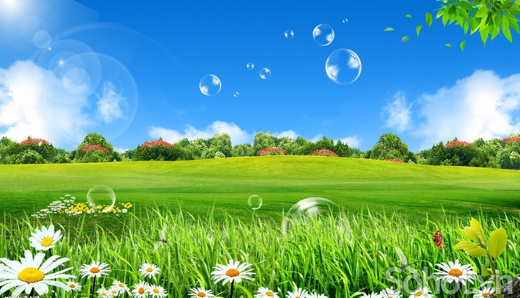 Tranh gạch 3d ốp tường cảnh thiên nhiên - FAAZ1