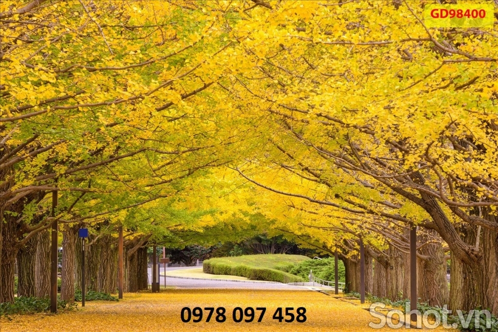 Gạch tranh hoa tiết phong cảnh mùa thu