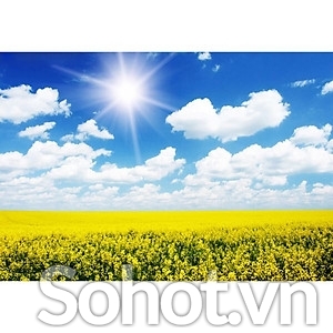 Tranh gạch 3d vườn hoa phong cảnh - XVC3