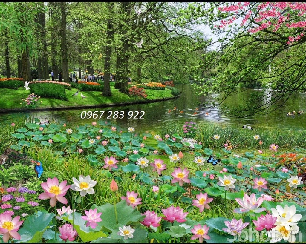 Tranh tường hoa sen trang trí sang trọng