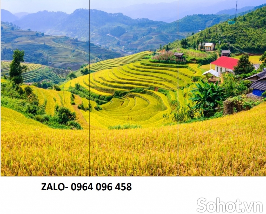 Tranh gạch 3d ruộng bậc thang - SXV887