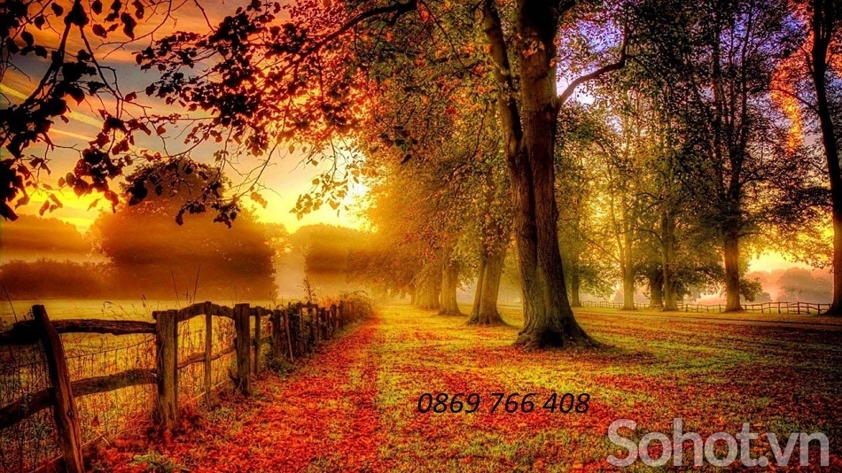 Tranh phong cảnh-Tranh ốp tường mùa thu đẹp
