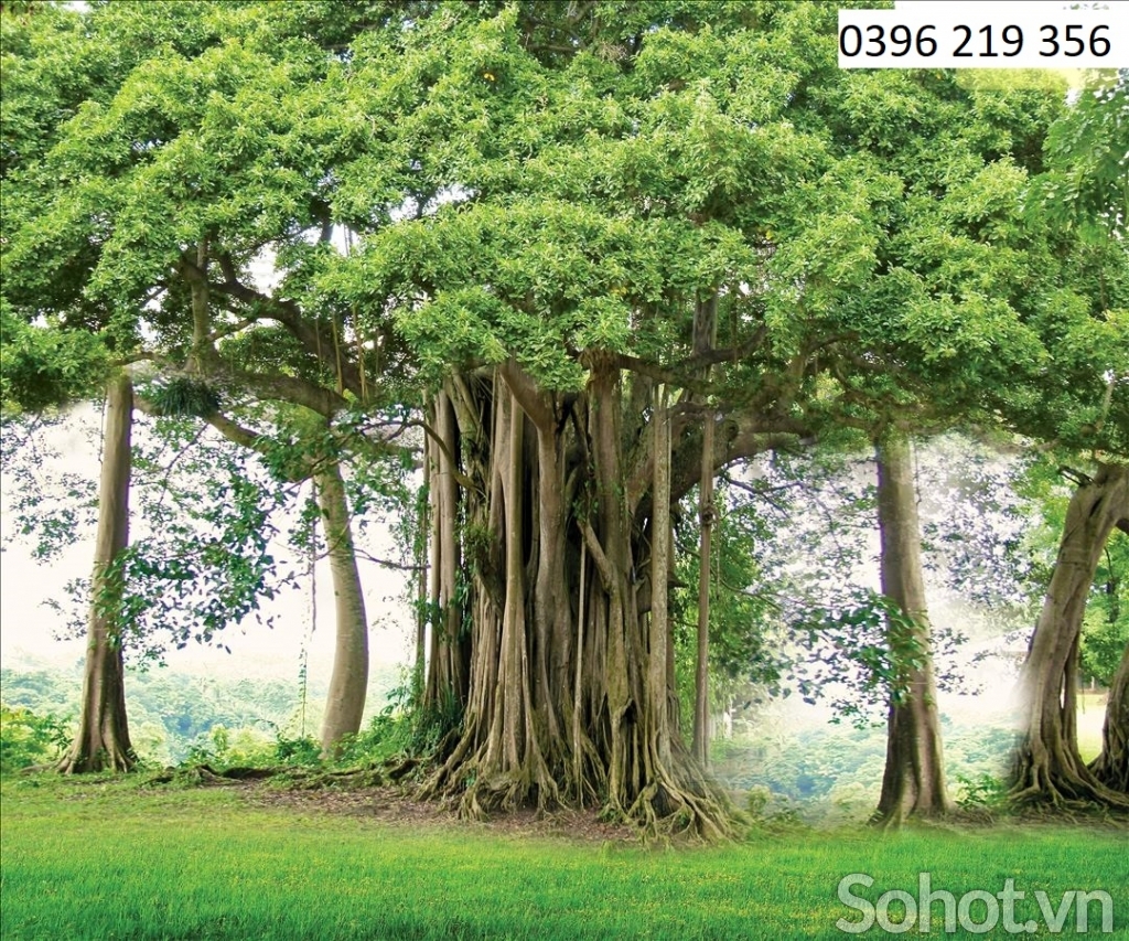 Tranh gạch men 3D Bồ Đề phong thủy