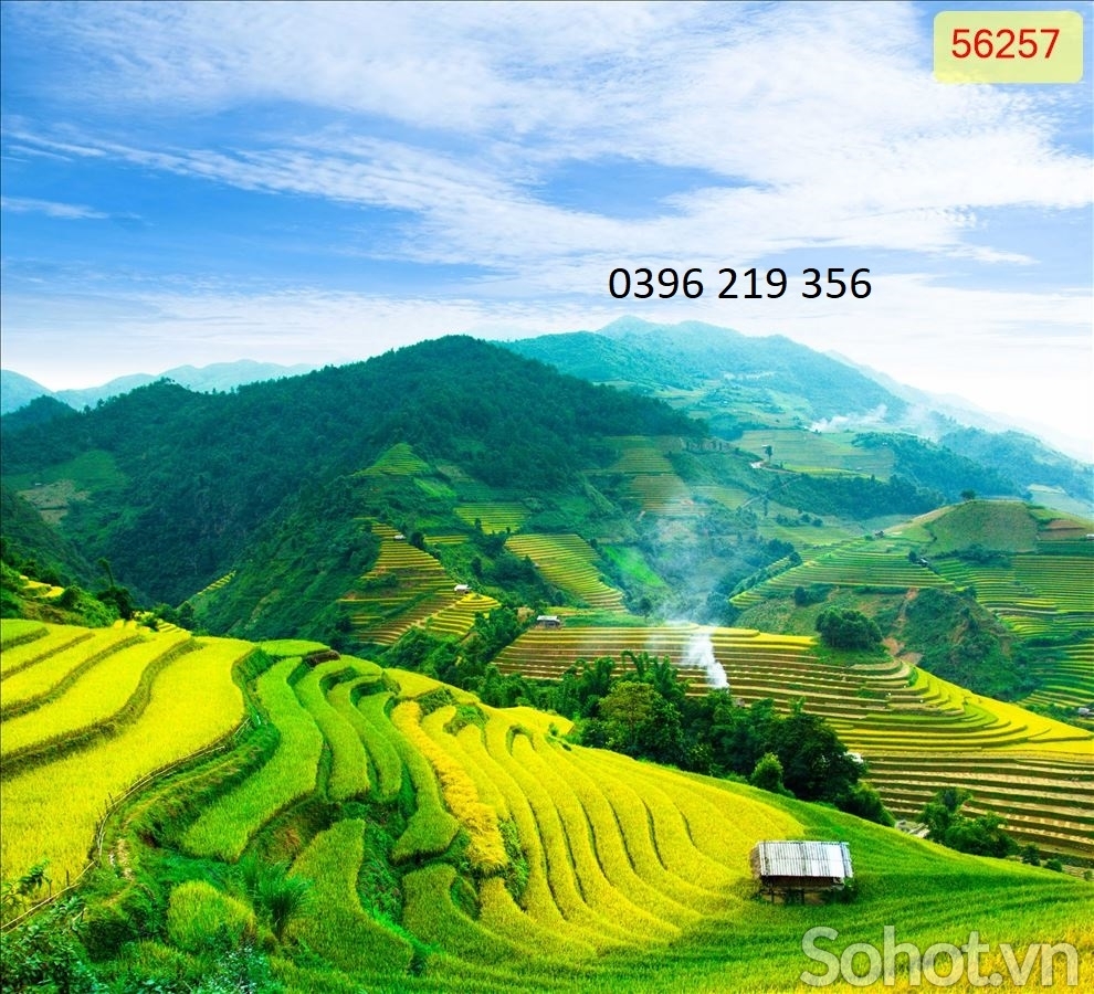 Tranh phong cảnh ruộng bậc thang trang trí