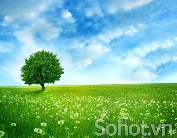 Tranh 3d - tranh gạch 3d phong cảnh thiên nhiên - 753XVN