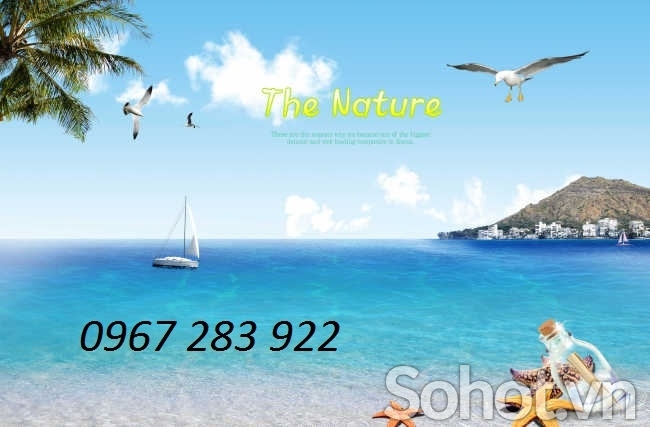 Tranh ốp tường phong cảnh biển đẹp
