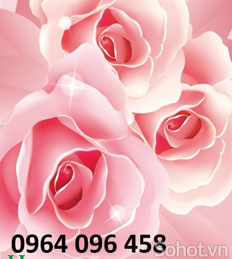 Tranh gạch 3d hoa hồng - DCVB98